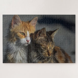 Mooie Kat Legpuzzel