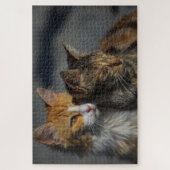 Mooie Kat Legpuzzel (Verticaal)