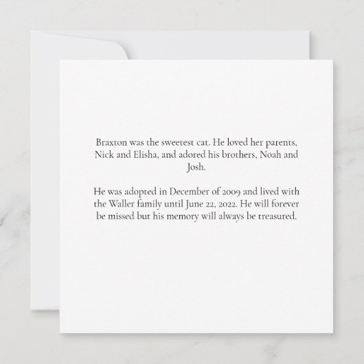 Mooie Kat Memorial Custom Pet Photo Keepsake Kaart (Achterkant)