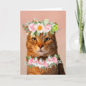 Mooie kat-MEOWVELOUS-dag Kaart (Voorkant)