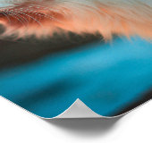 Mooie kat met een vlinder op hun neus poster (Hoek)