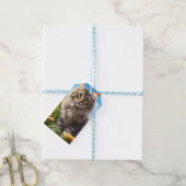 Mooie kat mooie tuin cadeaulabel (Met Touw)