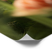 Mooie kat mooie tuin poster (Hoek)