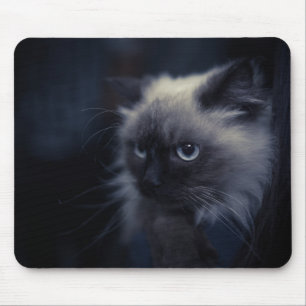 Mooie kat muismat