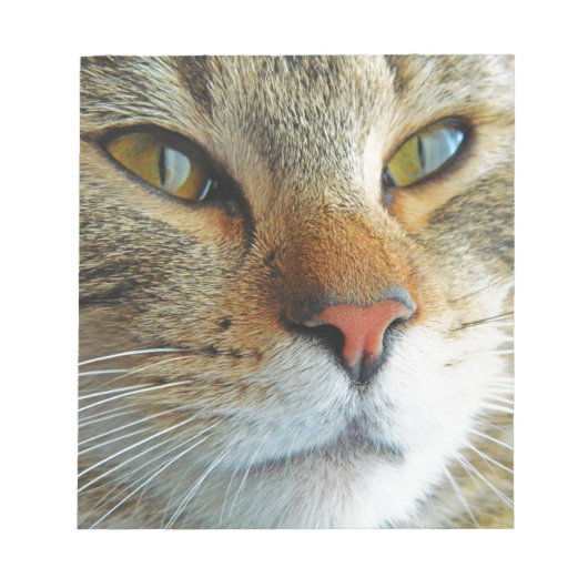 Mooie kat notitieblok (Voorkant)