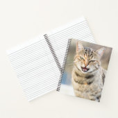 Mooie kat notitieboek (Binnen)