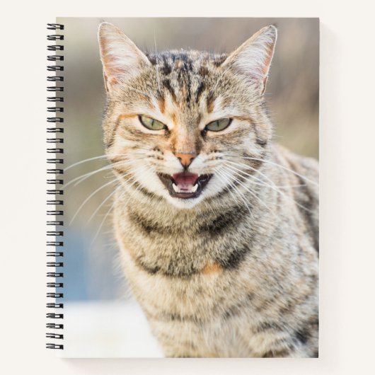 Mooie kat notitieboek (Voorkant)