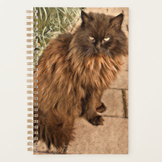Mooie kat planner