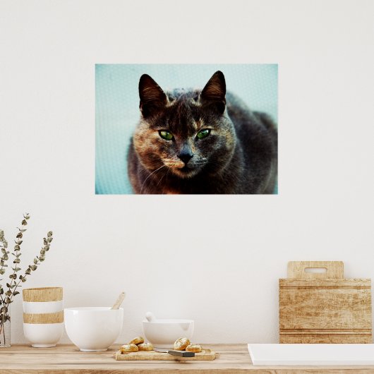 Mooie kat poster (Keuken)
