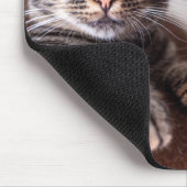Mooie kat rustende kalender 2024 muismat (Hoek)