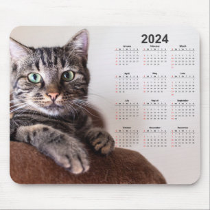 Mooie kat rustende kalender 2024 muismat