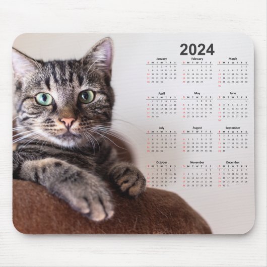 Mooie kat rustende kalender 2024 muismat (Voorkant)