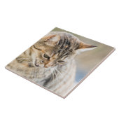 Mooie kat tegeltje (Zijkant)