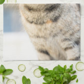 Mooie kat theedoek (Gevouwen)