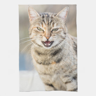 Mooie kat theedoek