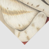 Mooie Kat Tissuepapier (Detail)