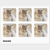 Mooie kat vierkante sticker (Vel)