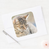 Mooie kat vierkante sticker (Envelop)