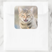 Mooie kat vierkante sticker (Tas)