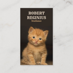 Mooie kat visitekaartje