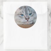 Mooie katblauwe ogen ronde sticker (Tas)