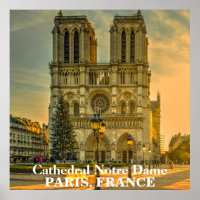 Mooie kathedraal van Notre Dame Paris Frankrijk