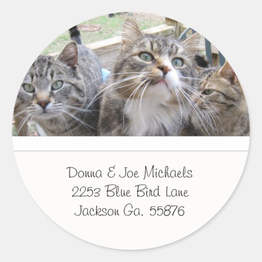 Mooie Katten Adresetiketten Ronde Sticker (Voorkant)