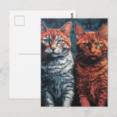 Mooie katten briefkaart (Voorkant / Achterkant)