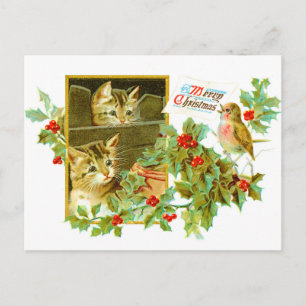 Mooie Katten en Robin   Schattigee vintage kerst Feestdagenkaart