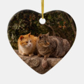 Mooie katten, sierlijk keramisch ornament (Voorkant)