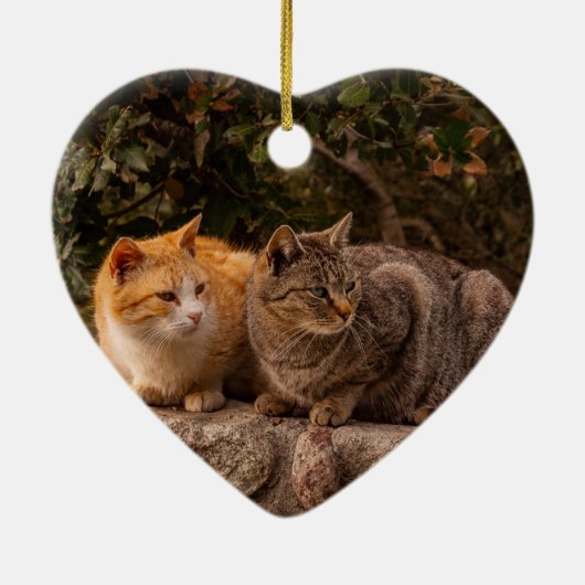 Mooie katten, sierlijk keramisch ornament (Achterkant)