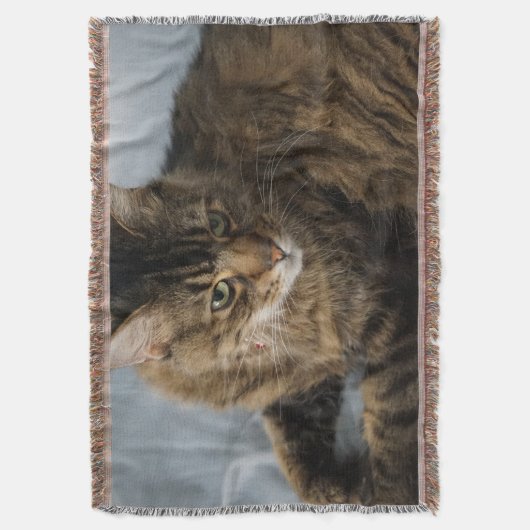 mooie kattendeken deken (Voorkant Verticaal)