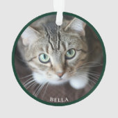 Mooie kattenfoto groen ornament (achterkant)