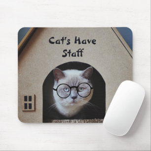 Mooie kattenfoto Katten hebben personeel Grappig Muismat