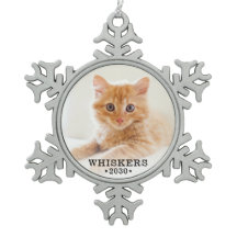 Mooie kattenfoto