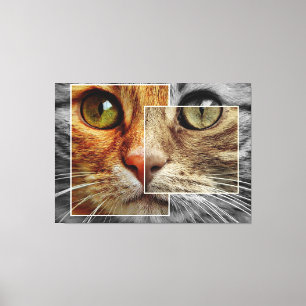 Mooie kattengezicht collage canvasprint canvas afdruk