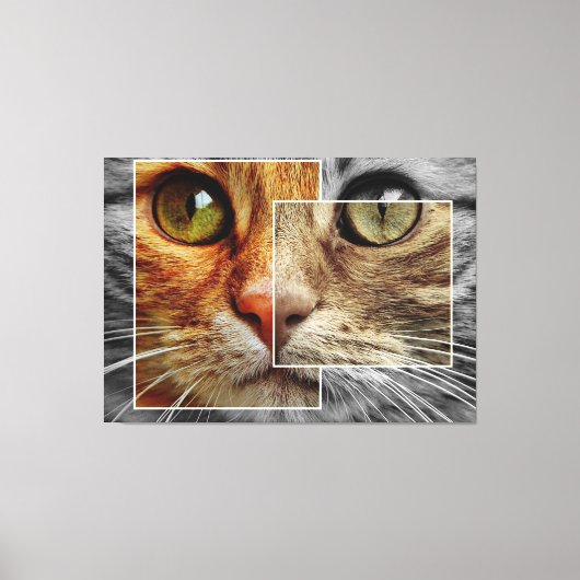 Mooie kattengezicht collage canvasprint canvas afdruk (Voorkant)