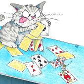 Mooie Kattenkaart Kasteel Wenskaart Kaart