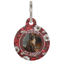 Mooie Kattenvader Cadeau Anemoon Bloem