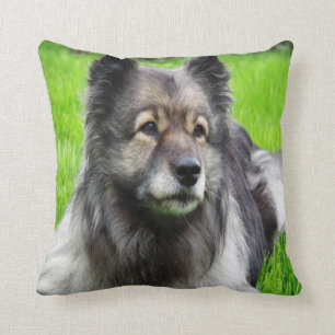 Mooie Keeshond Kussen