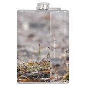 Mooie, keiharde Sandpiper bij het strand Heupfles (Achterkant)