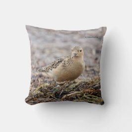 Mooie, keiharde Sandpiper bij het strand Kussen