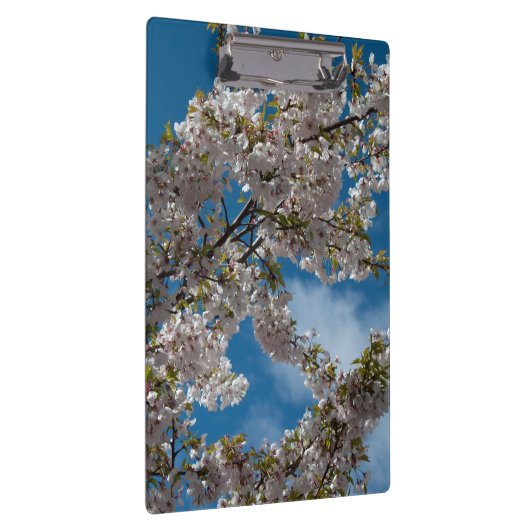 Mooie kerry die een boom tegen de blauwe hemel blo klembord (Rechts)