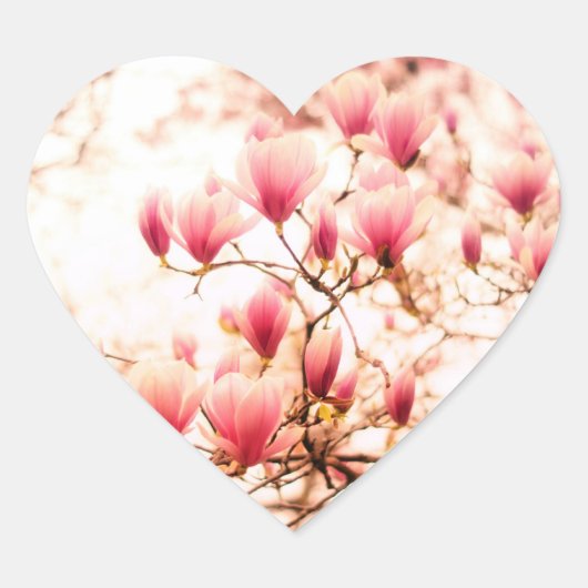 Mooie Kersenbloesems - Central Park Hart Sticker (Voorkant)