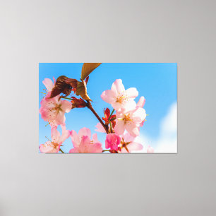 Mooie kersenbloesems ontvouwen zich voor het lente canvas afdruk