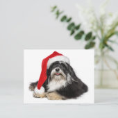 Mooie kerst Havanezer hond met kerstmuts Feestdagenkaart (Staand voorkant)