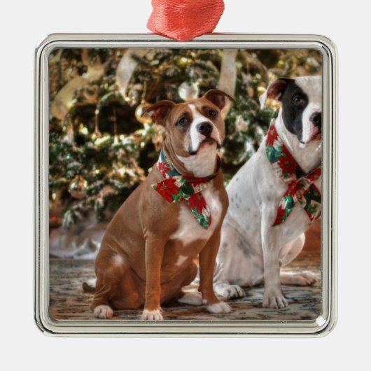 Mooie Kerst Redding Pitbull en Amerikaanse Bull Do Metalen Ornament (Voorkant)