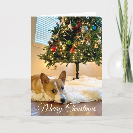 Mooie kerstboomfoto's van Corgi Feestdagen Kaart (Voorkant)
