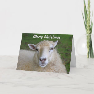 Mooie kerstfeestdag-Kaart bij schapen Feestdagen Kaart
