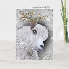 Mooie kerstfeestelijke angorageit | BabyGirl Feestdagen Kaart